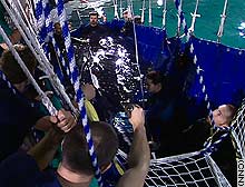 story.sharks1.cnn.jpg