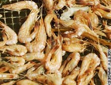 story.shrimp.gi.jpg