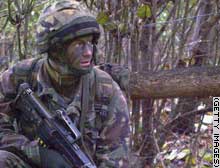 story.camouflage.gi.jpg