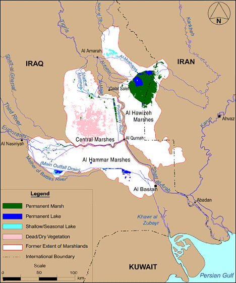 Iraq marshes